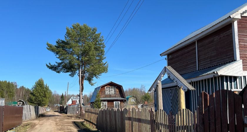 Вводят новый налог на бани и теплицы: в 2025 году начнут нещадно штрафовать все участки
