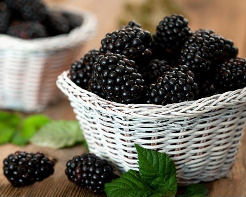 Ежевика: суперягода для здоровья и красоты