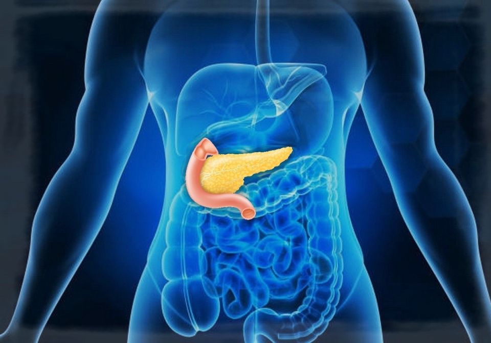 Синдром усталой поджелудочной: как понять и поддержать свою железу