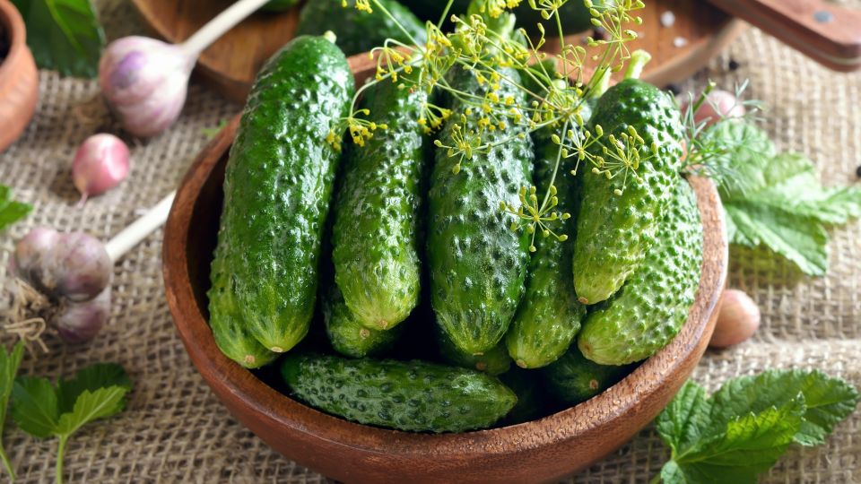 Горечь у огурцов исчезнет в два счета: улучшить вкус поможет этот забавный лайфхак