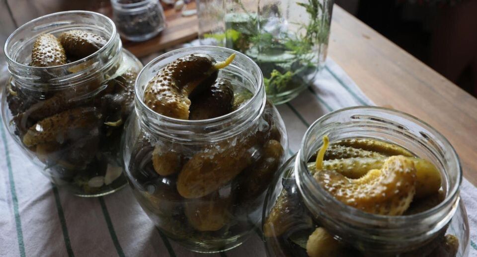 Как сохранить заготовки в безопасности