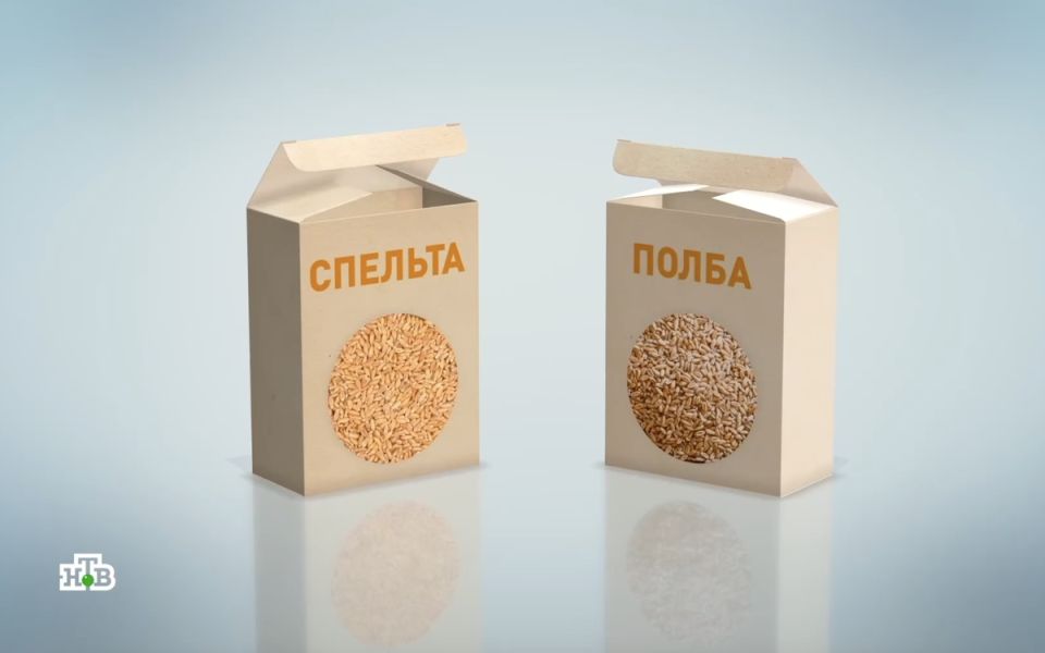 Полба и спельта: как раскрыть настоящий вкус древних злаков