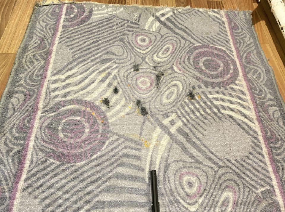 Как очистить ковры и паласы эффективно: простой и доступный метод