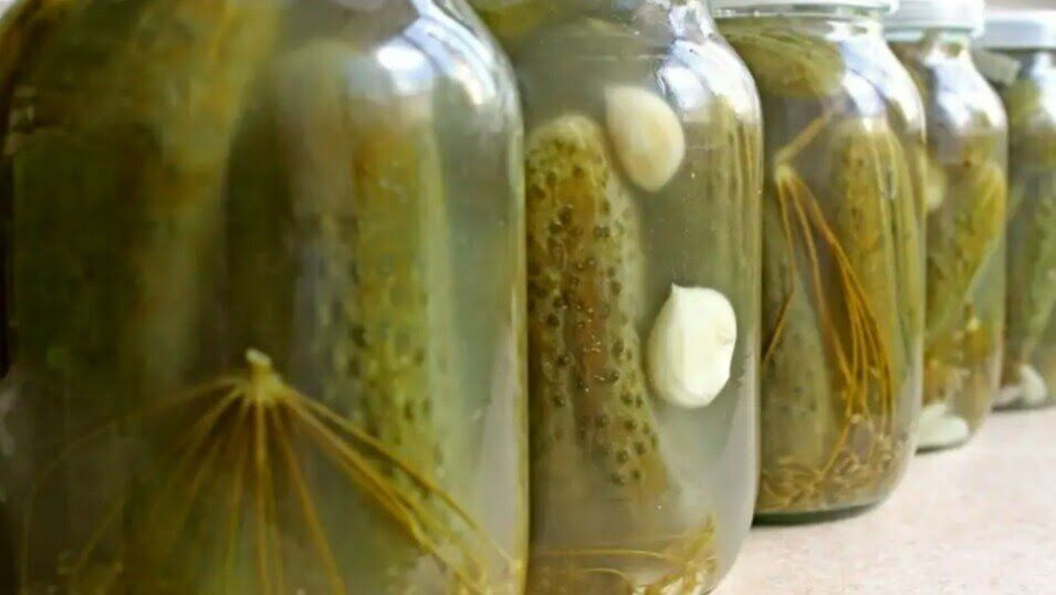 Как избежать распространенных ошибок при консервировании огурцов: полезные советы