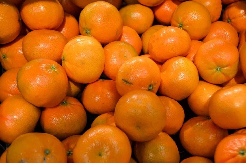 ��������� ����������: �������� �������� ���������� �����