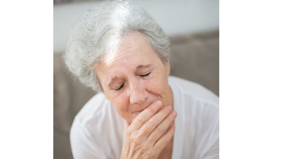 ��� ������� ������� ���� ������ ����� ����������� ��������� ��������������