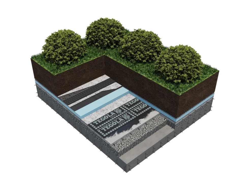 ������� �����: ��� ������� ��������� ��������� ��� ������ �������