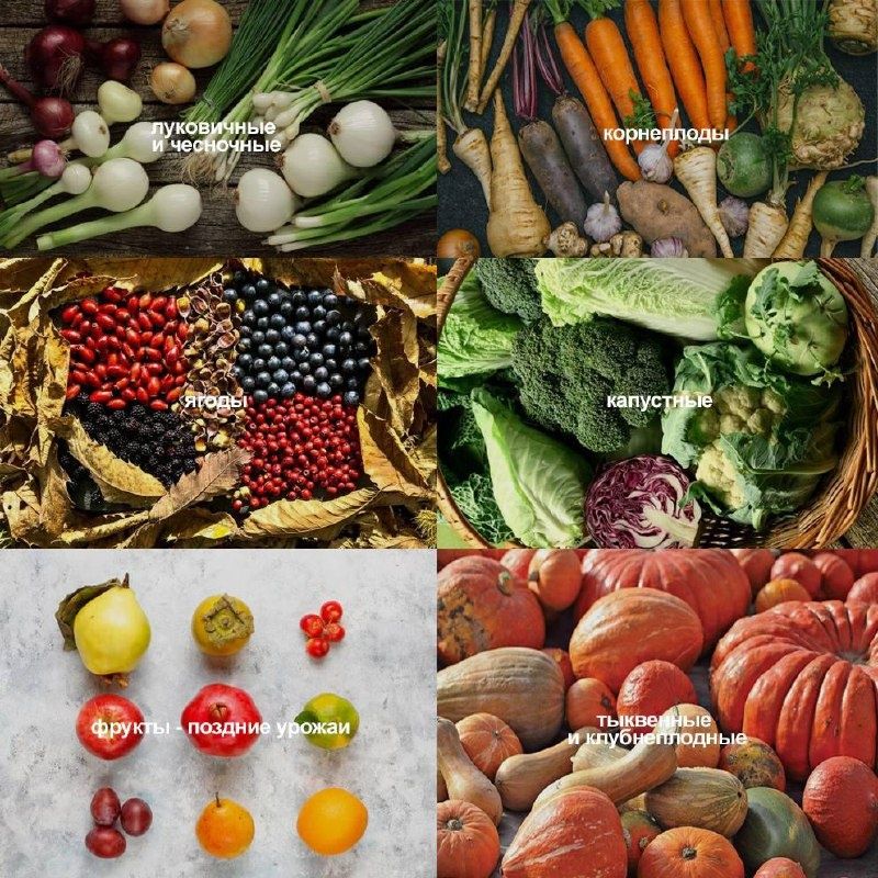 ����� �� �������: ��� �������� �������� ��������� ��������