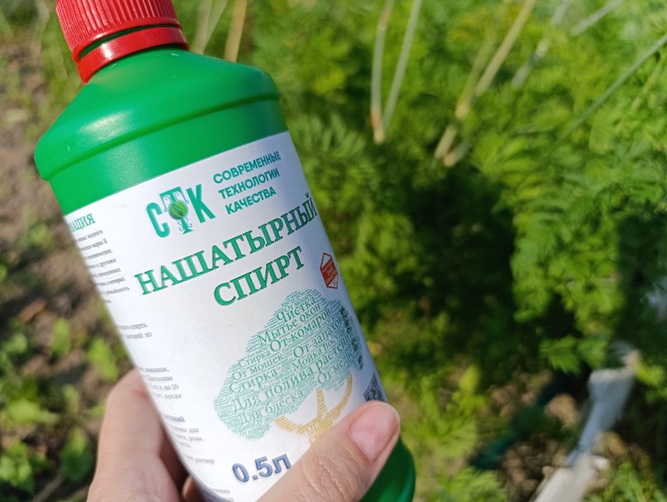 Неожиданная сила нашатырного спирта: как добиться рекордного урожая и защитить растения