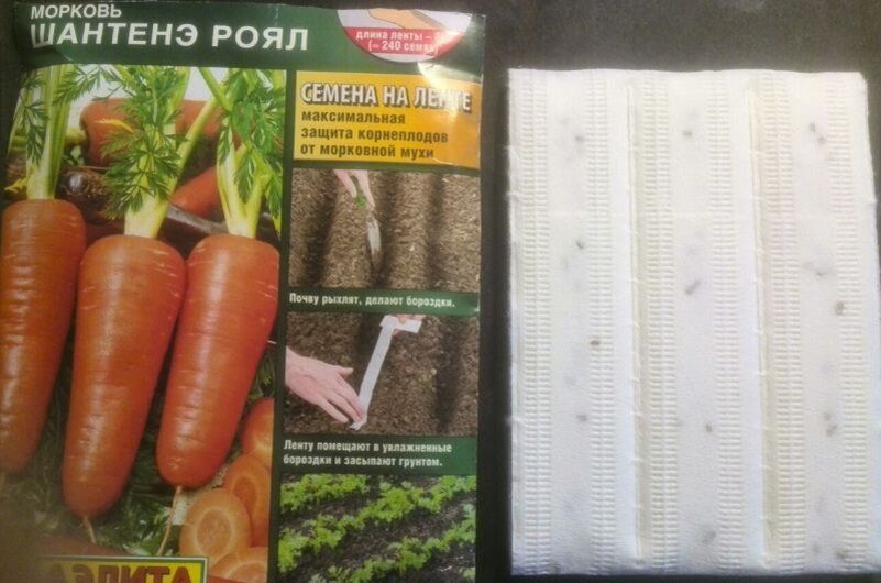 Как добиться идеальных всходов моркови с помощью лент: секреты мастерства
