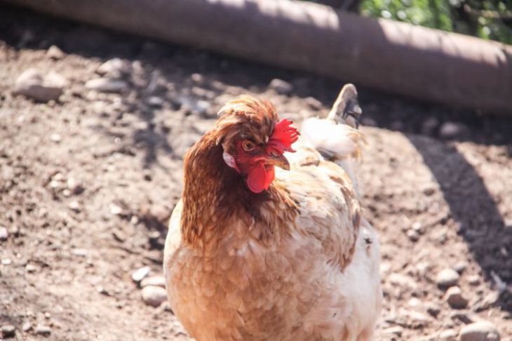 �������� ����������, ��� �������� ���� �������� ����� �� ������������ ����