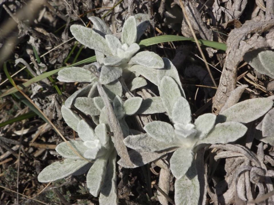 �������� �����: ��� ��������� �������� � ����� ����