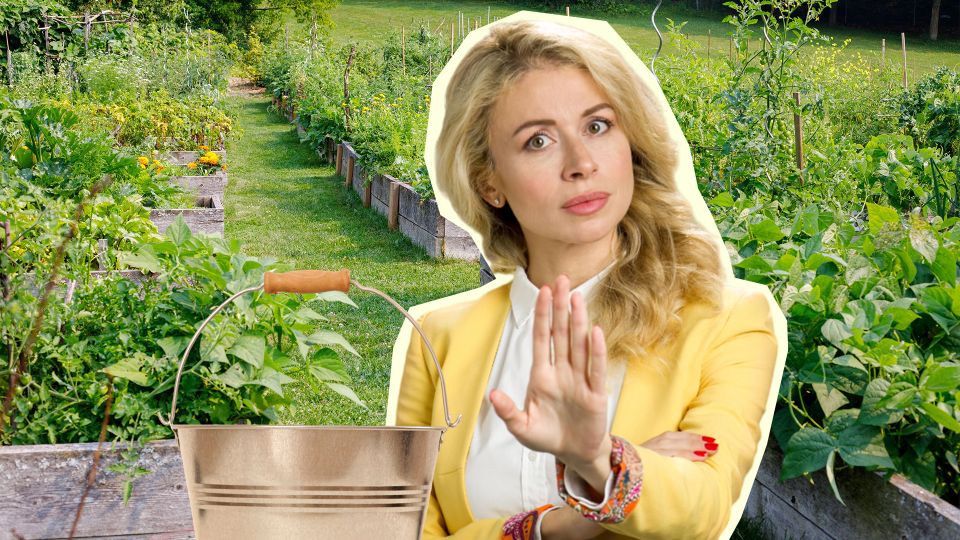 �� ���������� ��� �������� � ������� ���������: �������� ���� ������