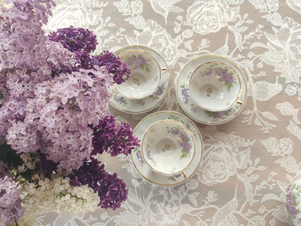 �������� ��� �������-��������: ��������� ������� �� 100 ������