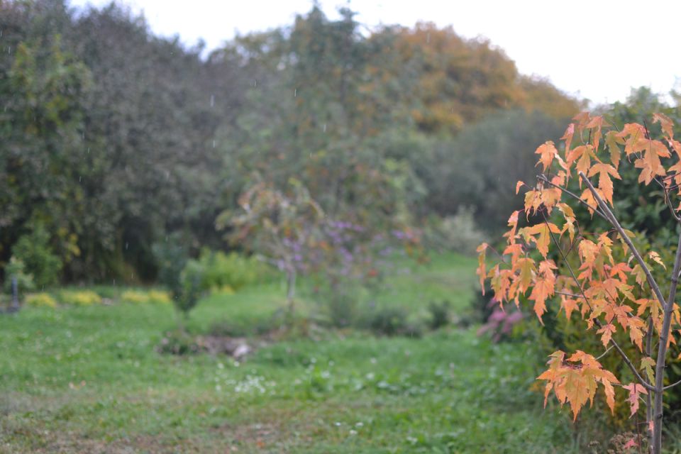 ���� �������: ������� ����� �� �����, � ������� ����� �����