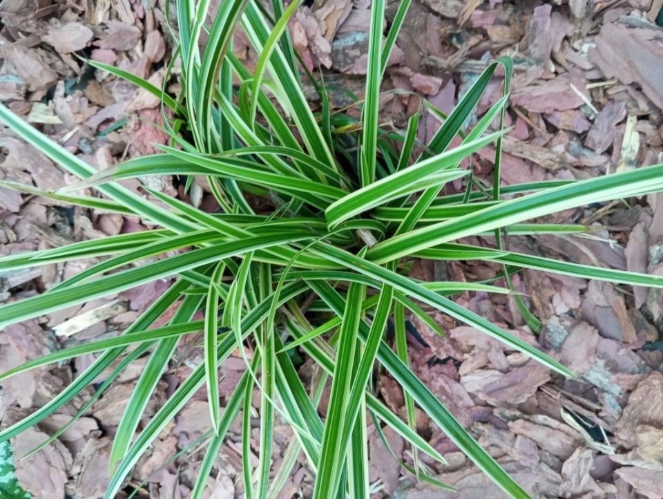 ����� ������: ��������� �������� ��� ������ ����