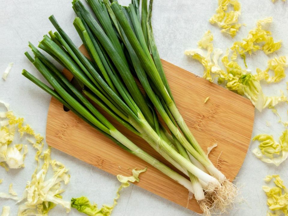 ����-������ �� �����������: ������ ������ ������� ���