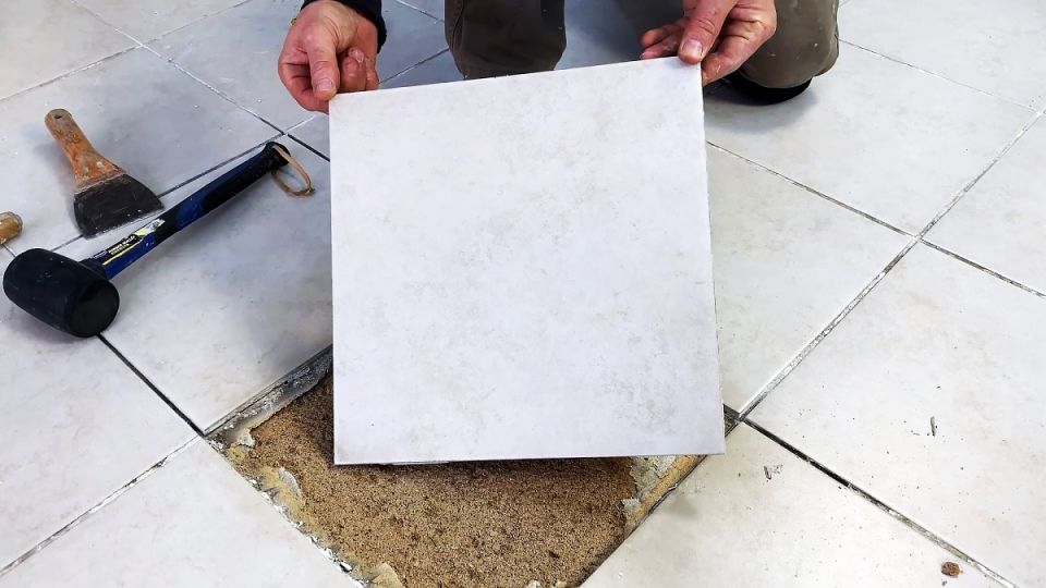 ������� ����������� ������ ������ ��� �����������