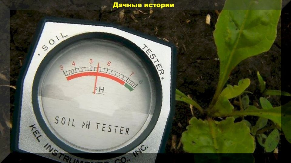 ��� ������ ���������� ����������� �����: �������� �����