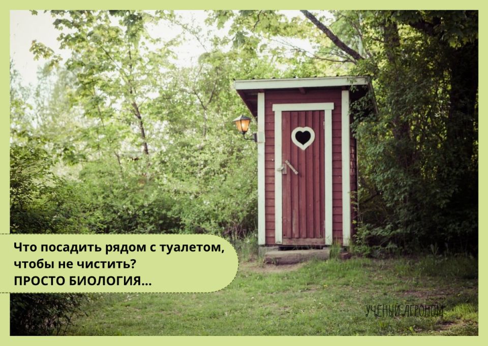 �������� ������ ������� �������: ��� ��������� ������� ������ � ������� ������ ����������