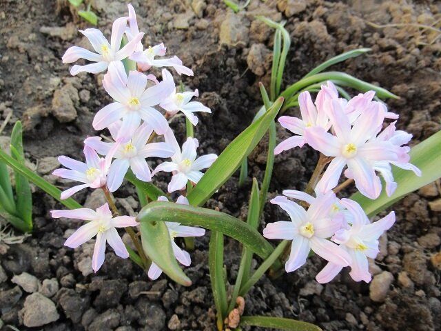 ������� � ������: �������� ��������������� ����������