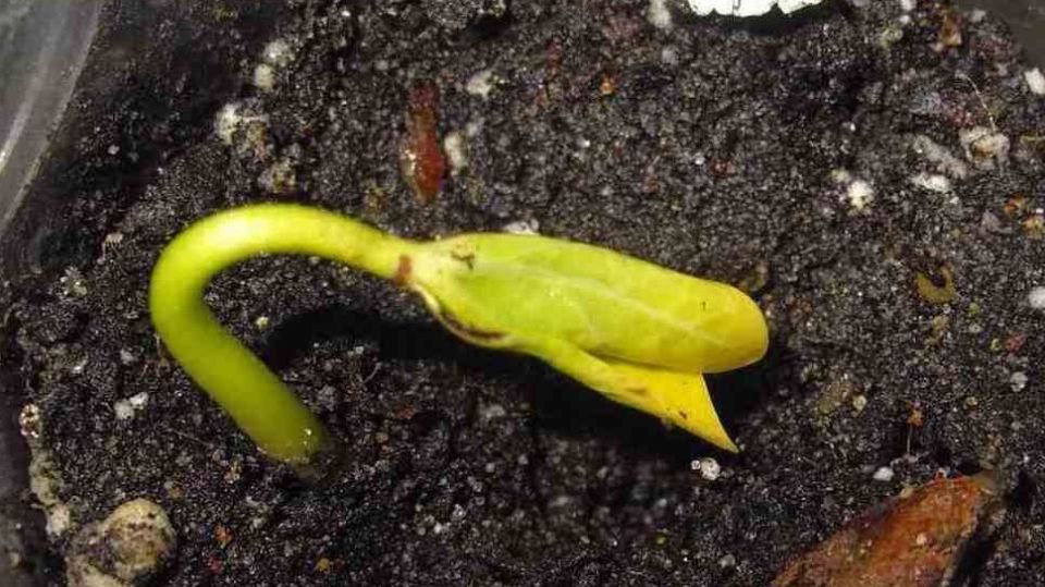 ��� �������� ����� ����� ����������� ��������� ���� ������ ���������