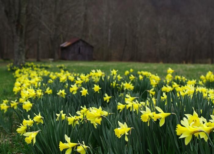 ������� �������� ���������: ��� �������� ������ ������