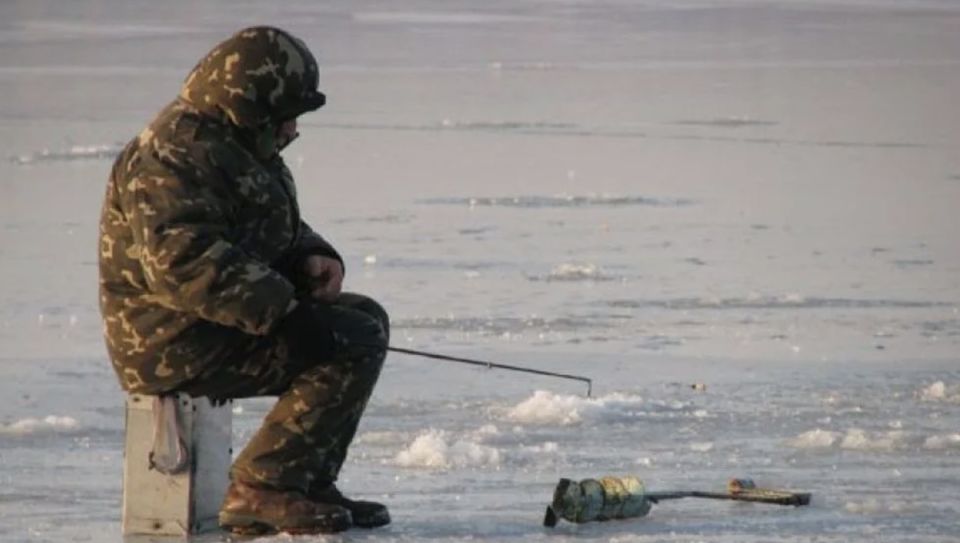 Научный взгляд на старинную мудрость: почему быстрое убиение рыбы повышает ее качество