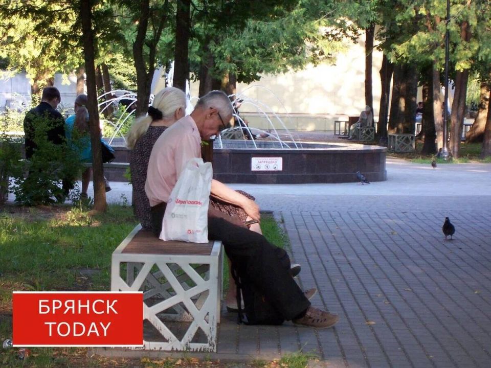 Как брянцам подойти к пенсии: важные нюансы и требования