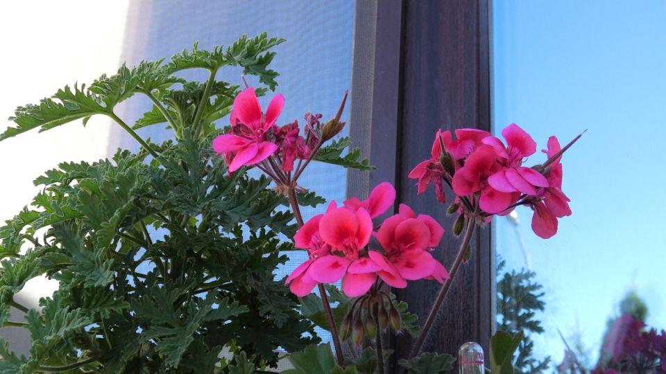 ����� ���� ��������� �������� ������ ������ ���� �����������������?