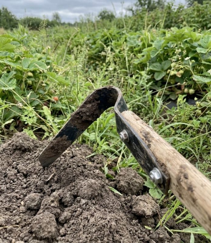 ��������� ������ ��� ����� ������� ��� ������ � ������� ��� ���� � �����