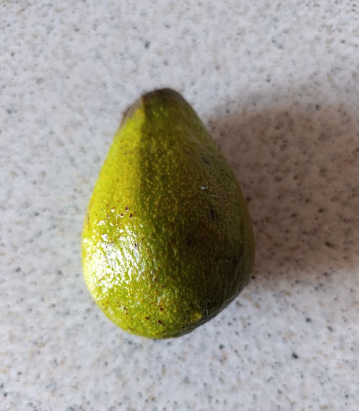 ������ ������� ����� ����� ���������� �������� ���������