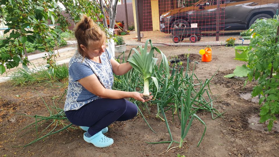 ��� ��������� ���-����� �� ������� � ��������� ������� � ������ ������