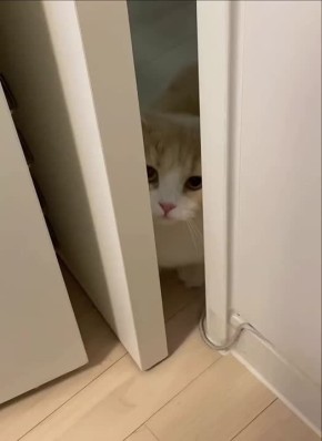  , !