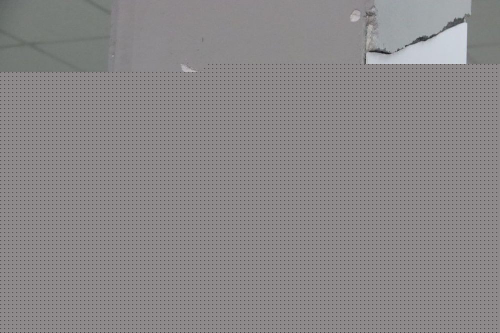  :    . ..   ,       :   ,  80-   