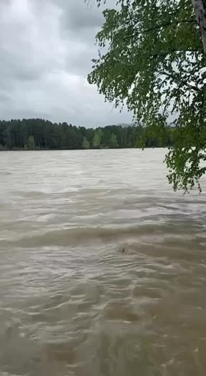            360 