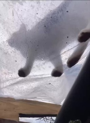  , !      !