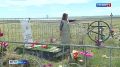 На кладбище пасутся коровы, сельсовет бездействует