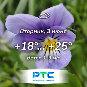 Прогноз погоды. ИНФОРМБЮРО РТС