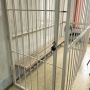 Житель Черногорска осужден за убийство знакомого