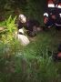 5 дней без еды и воды:. спасатели Шушенской станции помогли вернуться домой двум бабушкам, заблудившимся в лесу