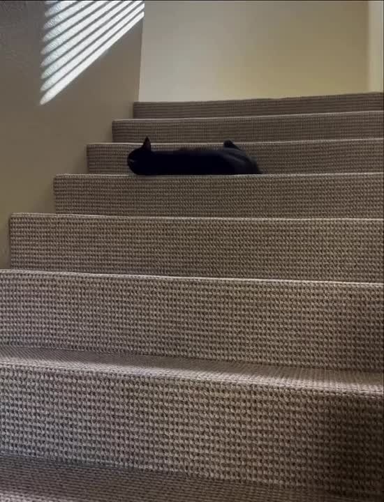  , !     !