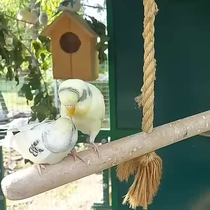       , 