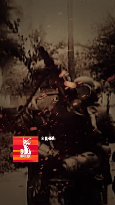 --   ,    