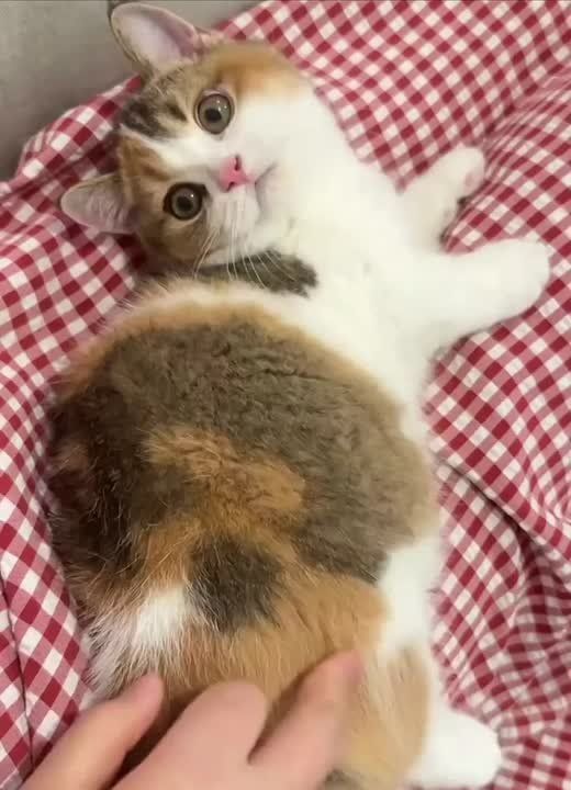  , !.        