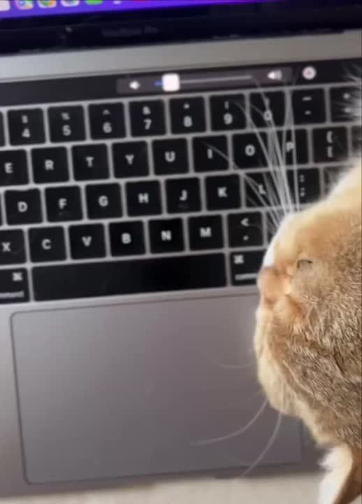  , !     