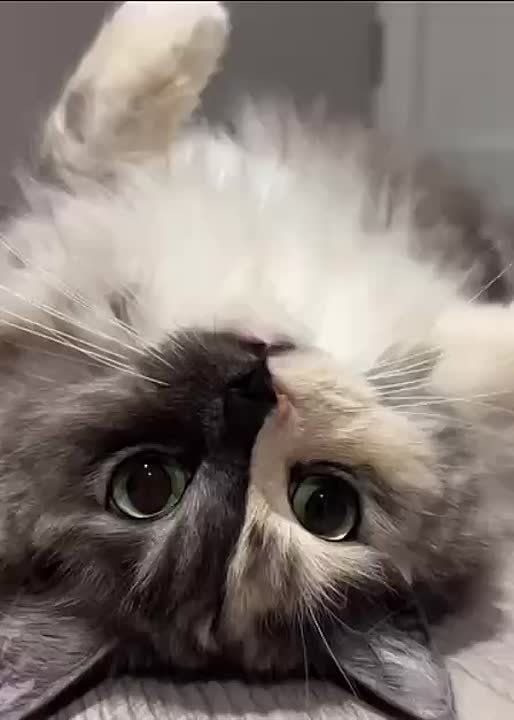  , !