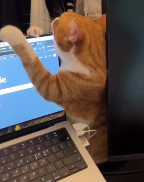  , !      