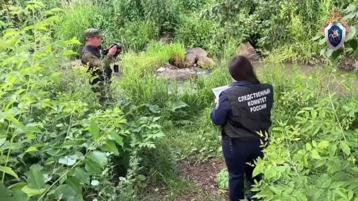    ,      