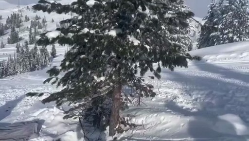 -  15-        